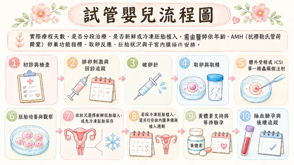試管嬰兒流程圖，整理從初診檢查、排卵刺激、取卵取精、體外受精、胚胎培養到驗孕追蹤的完整步驟。